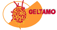 GELTAMO - Grupo Español de Linfomas y Trasplantes de Médula Ósea